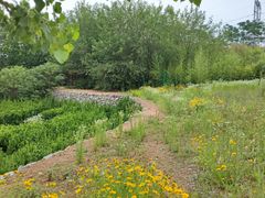 -西部长青自然儿童乐园