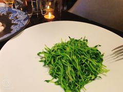 酒香豆苗-RIVIERA 松鹤楼(外滩店)