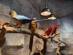 -Zoolung Zoolung动物主题公园(海信广场店)