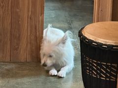 -绿房子方寸咖啡(星海名城店)