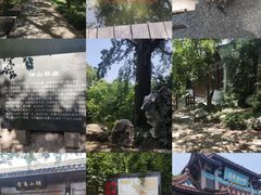 -宝界山林公园