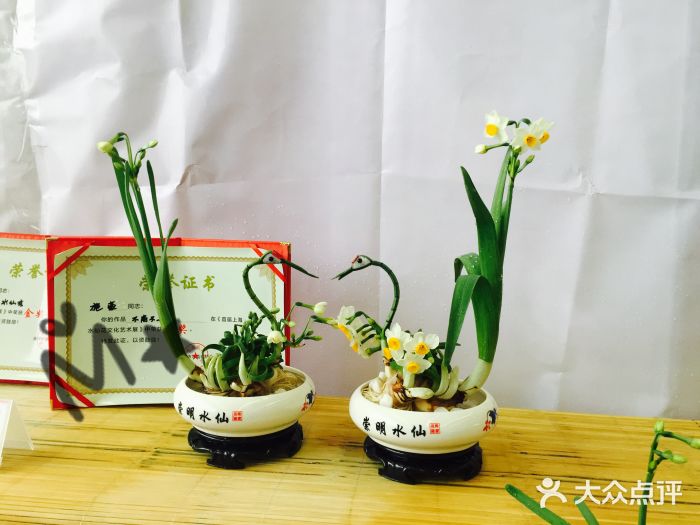 龙大花卉苗木市场图片