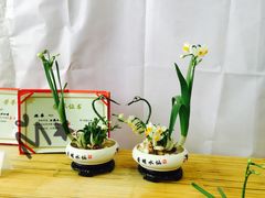 -龙大花卉苗木市场