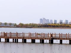-天津东丽湖风景区