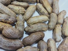 -金刚山烧烤(红旗大街店)