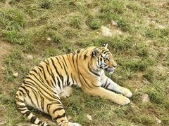 -西霞口神雕山野生动物世界