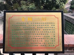 -碧江金楼