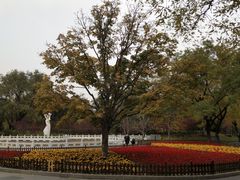 -丰台花园
