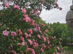 -瀛洲公园