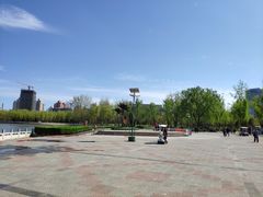 -莲花池公园