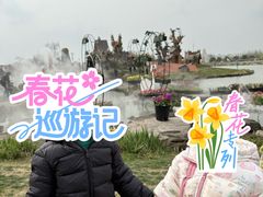 -荷兰花海