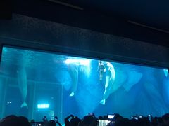 -上海滴水湖皇冠假日酒店