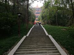 -富乐山