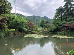 -中国茶叶博物馆(双峰馆区)