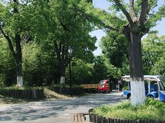 -苏州太湖国家湿地公园