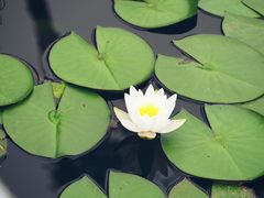 -竹西公园