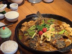 -老板恋上鱼(恒隆广场店)