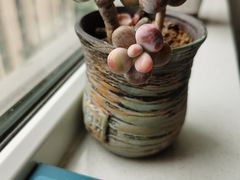 -九寸花汀海鲜烤肉自助(武汉首店)