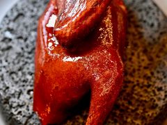 -广州富力君悦大酒店空中花园