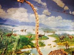 恐龙博物馆-自贡恐龙博物馆