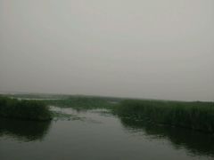 -白洋淀景区