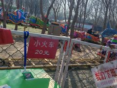 -1982农场