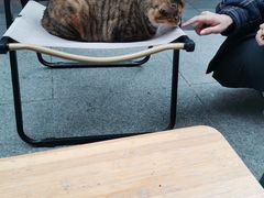 -Jeans Coffee牛仔裤咖啡