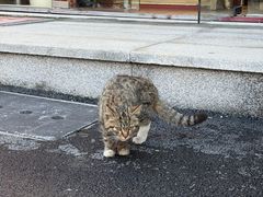 -松州古城