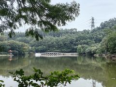 -深圳仙湖植物园