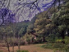 -杭州植物园