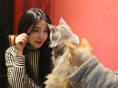 -猫色咖啡·猫咖