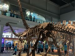 -自贡恐龙博物馆