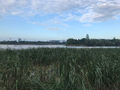 -灞河西岸滨河公园