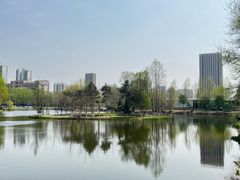 -长白岛森林公园