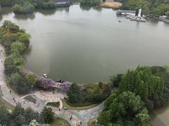 -AdD全日制餐厅(中谷花园酒店)