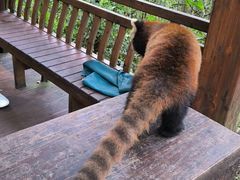 -普洱太阳河森林公园