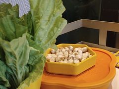 -润园四季椰子鸡火锅(卓越INTOWN店)