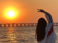 -宝安西湾红树林湿地公园