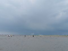 -南汇新城海滩
