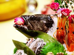 鲷鱼-红门金汤·港式火锅(英皇集团中心店)