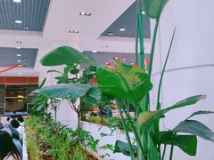 -丽江三义国际机场