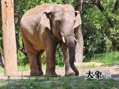 -北京野生动物园