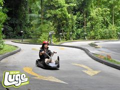 -圣淘沙天际线斜坡滑车