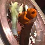 价格也不贵，蟹棒是那种正经蟹棒，可以一试