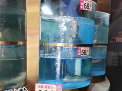 -蜀滋香鲜鱼美蛙火锅(339店)