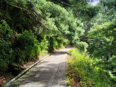 -苍山感通索道