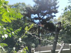 -天津盘山风景名胜区