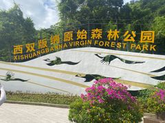 -西双版纳原始森林公园