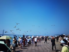 -天顺渔港·海景餐厅(星海广场店)