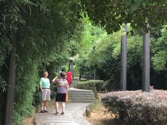 -九龙潭景区